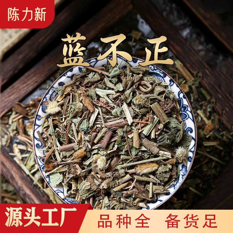 五气朝阳草(五气朝阳草的功效)