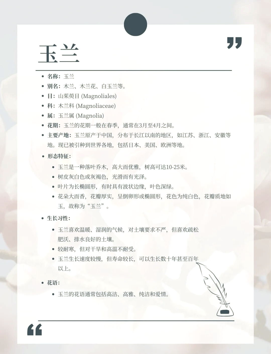 玉兰花的功效与作用(玉兰花的功效与作用有哪些)