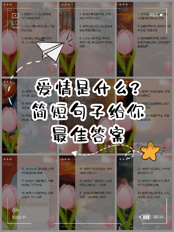 快餐式爱情什么意思(快餐式的爱情怎么理解)