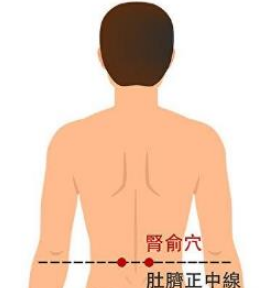 夹脊的准确位置图(夹脊的准确位置图定位)