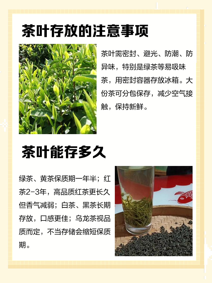 茶叶冷藏好还是冷冻好(铁观音茶叶冷藏好还是冷冻好) 茶叶冷藏好还是冷冻好(铁观音茶叶冷藏好还是冷冻好)