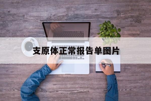 支原体正常报告单图片(支原体正常的报告单图片)