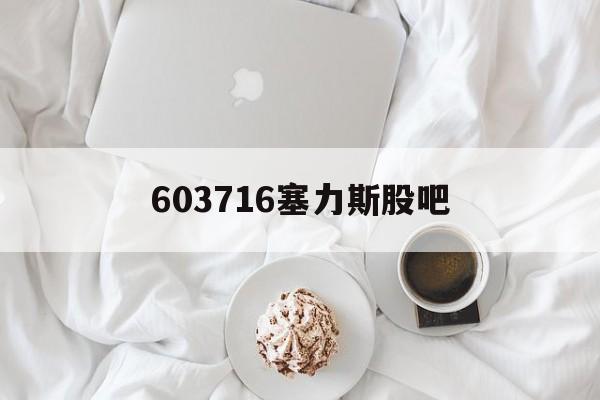 603716塞力斯股吧(塞力斯医疗科技股份有限公司股票)